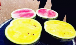 网爆吃瓜爆料图片高清,高清图片揭秘幕后真相